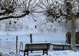 Die schönsten Winterbilder